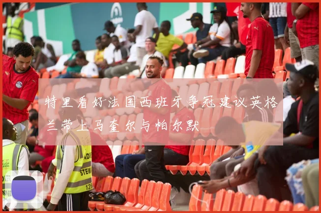 特里看好法国西班牙争冠建议英格兰带上马奎尔与帕尔默