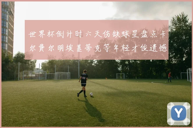 世界杯倒计时六天伤缺球星盘点卡尔费尔明埃基蒂克等年轻才俊遗憾缺席